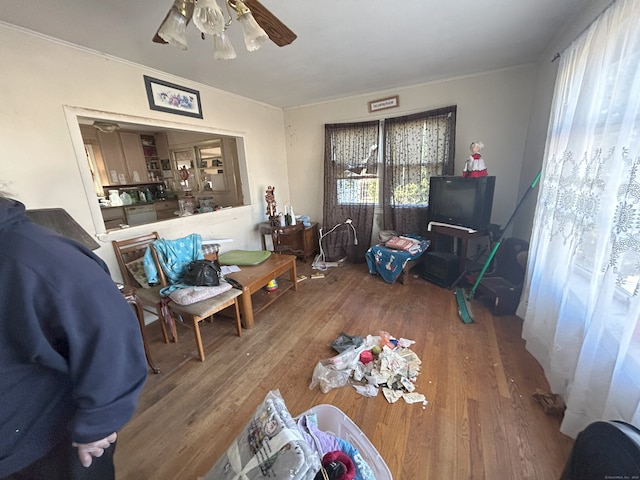 29 Tree Hill Rd, Waterbury, CT 06708 - living area with wood finished floors, ceiling fan, and ornamental molding
