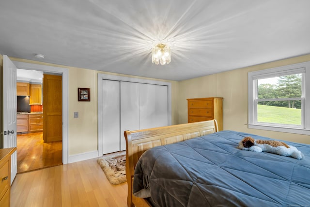 128 Holcomb Hill Rd, New Hartford, CT 06057 - bedroom with light wood-style floors and a closet