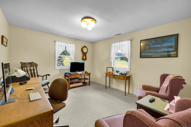 128 Holcomb Hill Rd, New Hartford, CT 06057 - carpeted office space featuring plenty of natural light