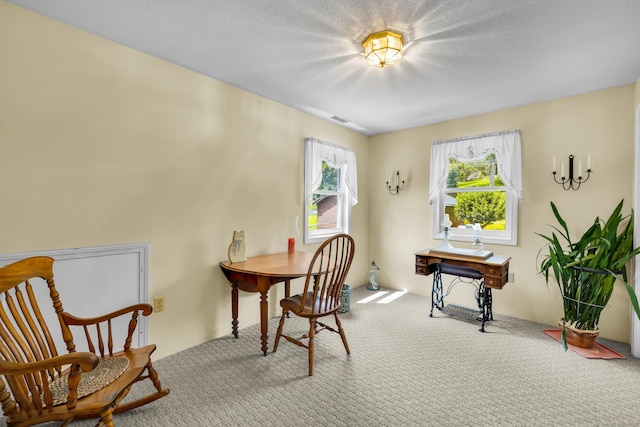 128 Holcomb Hill Rd, New Hartford, CT 06057 - view of carpeted office