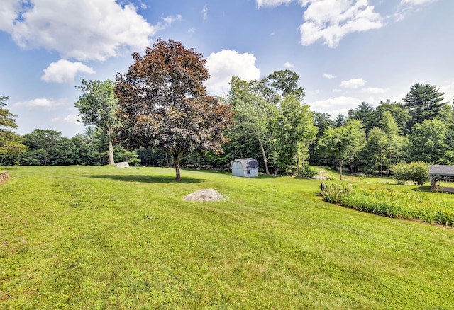 128 Holcomb Hill Rd, New Hartford, CT 06057 - view of grassy yard featuring a shed