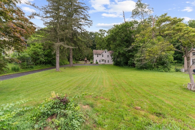 24 Main St, East Hampton, CT 06424 - view of green lawn