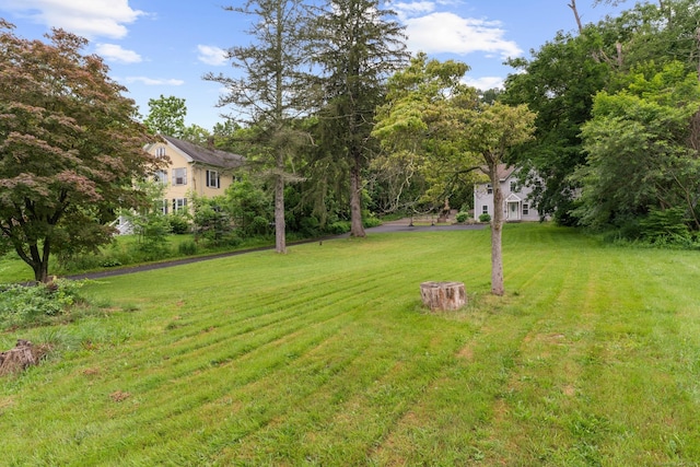24 Main St, East Hampton, CT 06424 - view of green lawn