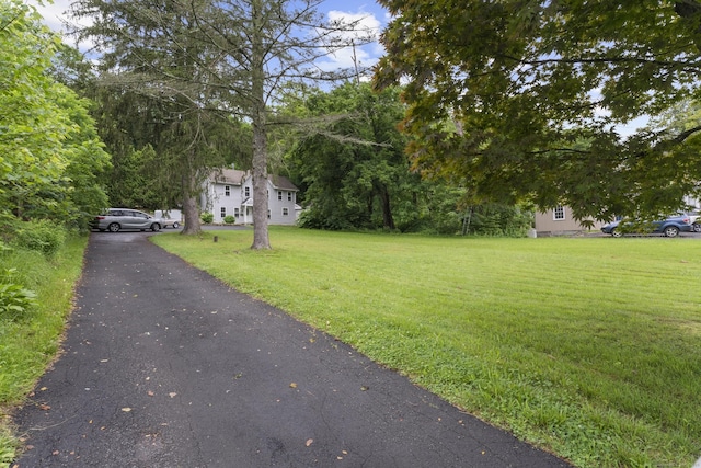 24 Main St, East Hampton, CT 06424 - view of front of house featuring a front yard and asphalt driveway