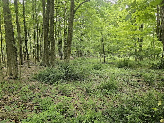 0 Taylor Rd, New Milford, CT 06776