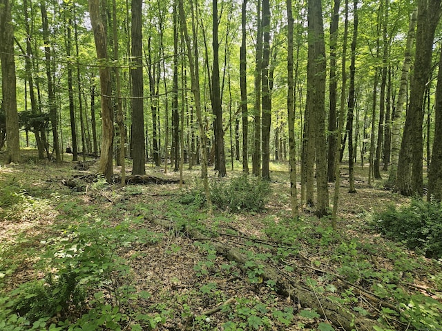 0 Taylor Rd, New Milford, CT 06776