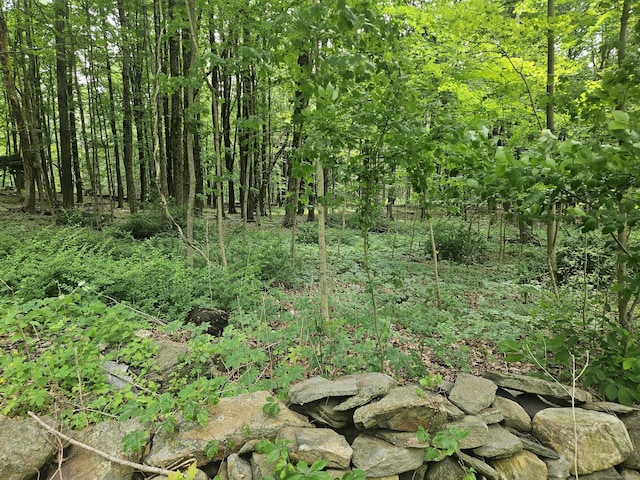 0 Taylor Rd, New Milford, CT 06776
