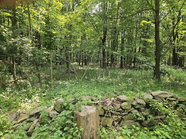 0 Taylor Rd, New Milford, CT 06776