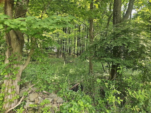 0 Taylor Rd, New Milford, CT 06776