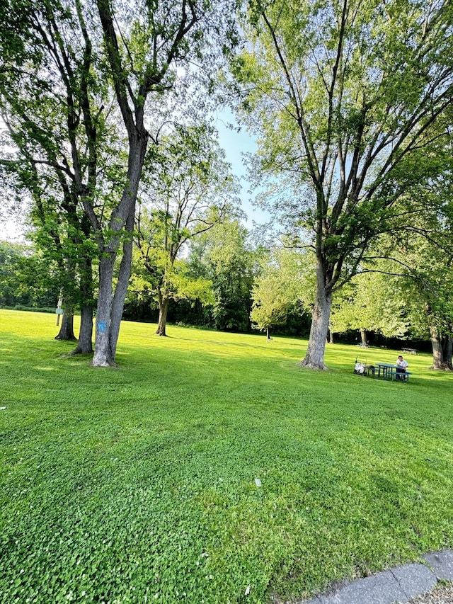 37 Brookwood Dr Apt D, Rocky Hill, CT 06067 - view of green lawn with view of wooded area