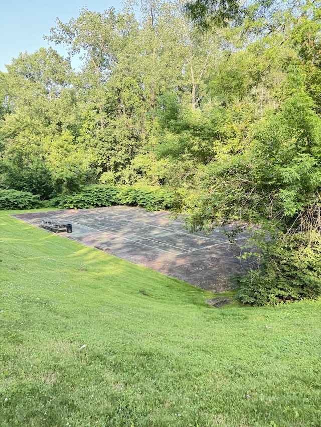 37 Brookwood Dr Apt D, Rocky Hill, CT 06067 - view of green lawn