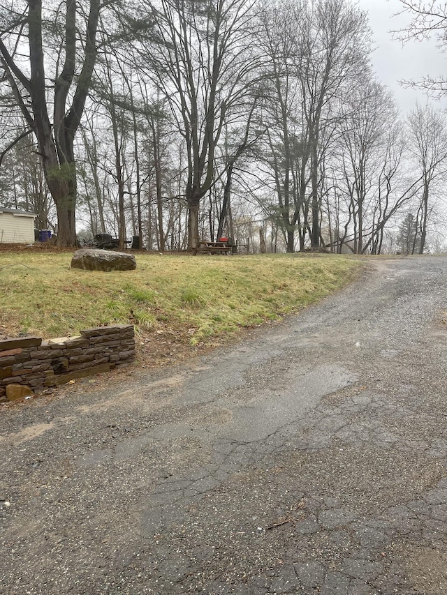 20 Elm St, Simsbury, CT 06081 - view of asphalt road