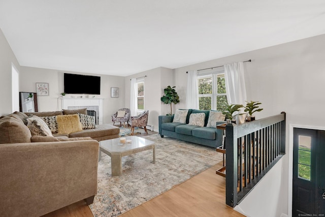 9 Renee Ln, Enfield, CT 06082 - living room featuring wood finished floors and a fireplace