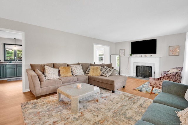 9 Renee Ln, Enfield, CT 06082 - living room with light wood-style flooring and a fireplace