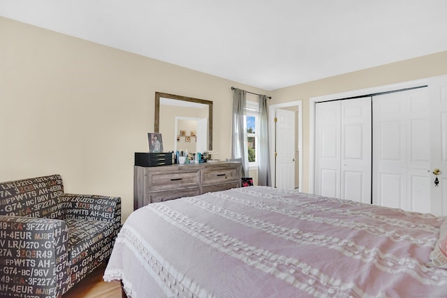 9 Renee Ln, Enfield, CT 06082 - bedroom with a closet and wood finished floors