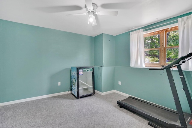 9 Renee Ln, Enfield, CT 06082 - exercise area featuring carpet and a ceiling fan