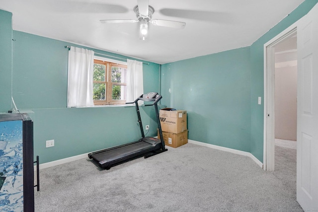 9 Renee Ln, Enfield, CT 06082 - exercise area featuring carpet and ceiling fan