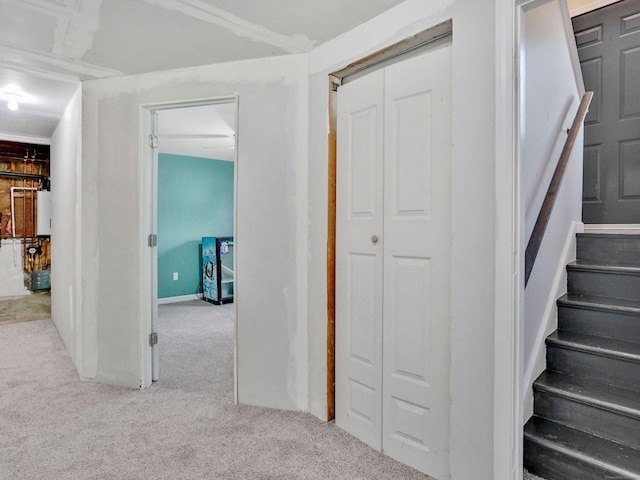 9 Renee Ln, Enfield, CT 06082 - staircase with carpet