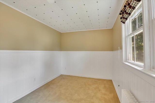 171 Lincoln St, Middletown, CT 06457 - spare room featuring radiator, wainscoting, and carpet flooring