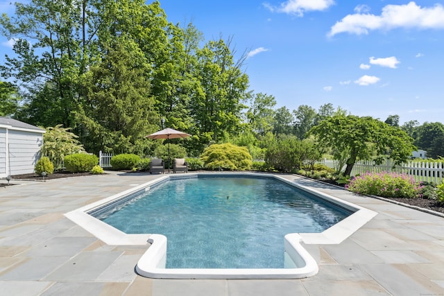 46 Tally Ho Rd, Ridgefield, CT 06877 - view of swimming pool with a patio area