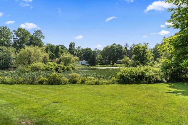 46 Tally Ho Rd, Ridgefield, CT 06877 - view of grassy yard