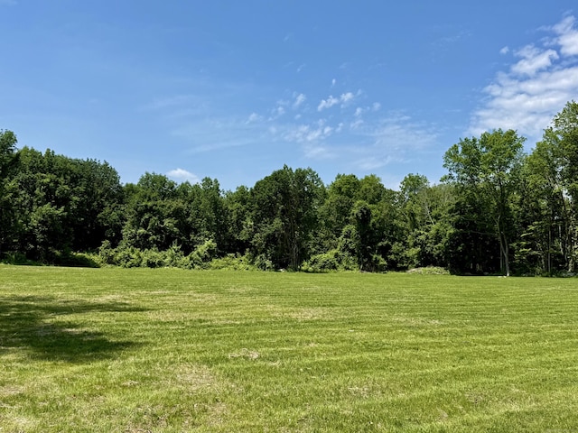 249 Wall St, Hebron, CT 06248 - view of green lawn featuring a wooded view