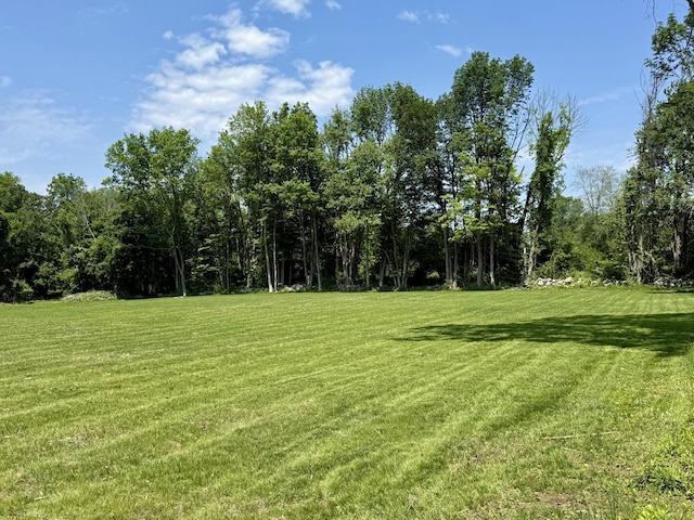 249 Wall St, Hebron, CT 06248 - view of green lawn