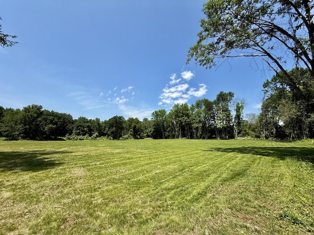 249 Wall St, Hebron, CT 06248 - view of green lawn with a forest view