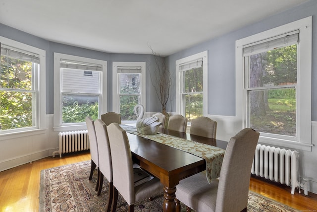 29 Circuit Ave, Waterbury, CT 06708 - dining room with radiator heating unit and light wood finished floors