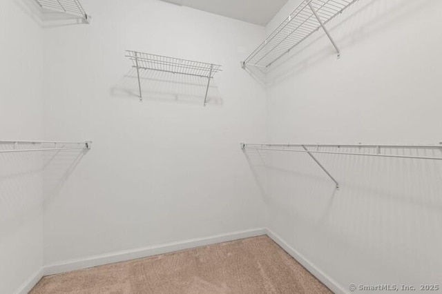 3 Riverview Ct Unit 3, Brookfield, CT 06804 - walk in closet featuring carpet flooring
