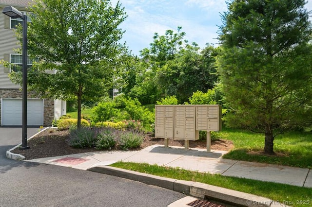 3 Riverview Ct Unit 3, Brookfield, CT 06804 - surrounding community featuring mail area and a garage