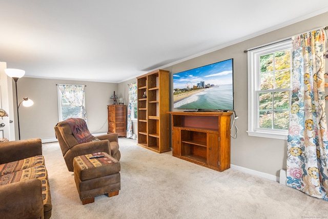 97 Wildwood Cir, Durham, CT 06422 - living room featuring plenty of natural light, ornamental molding, carpet, and a baseboard radiator