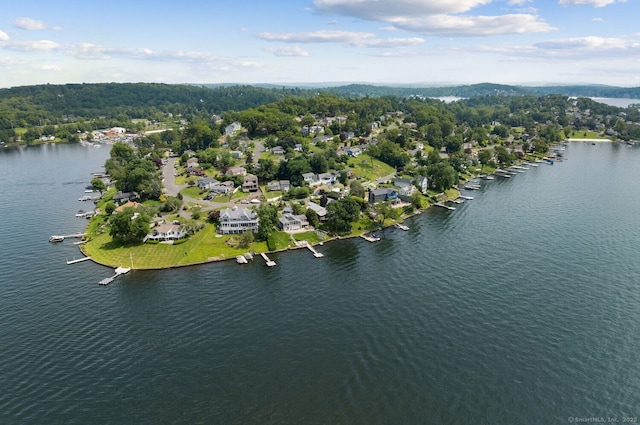 113 N Lake Shore Dr, Brookfield, CT 06804 - bird's eye view of a nearby body of water