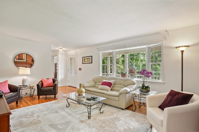 11 Scodon Dr, Ridgefield, CT 06877 - living room featuring wood finished floors