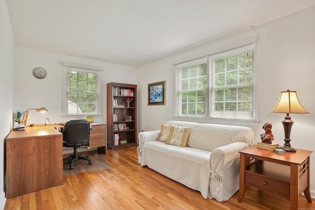 11 Scodon Dr, Ridgefield, CT 06877 - home office with light wood-style flooring