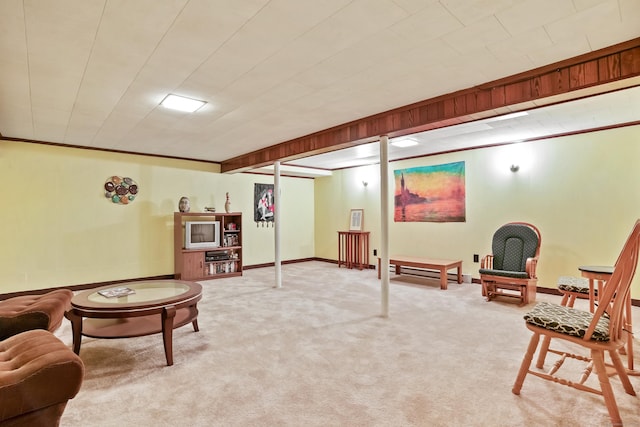 11 Scodon Dr, Ridgefield, CT 06877 - living area with carpet flooring