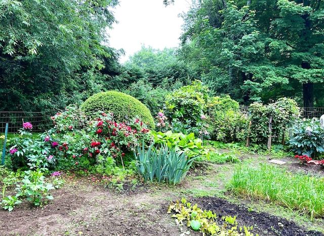 11 Scodon Dr, Ridgefield, CT 06877 - view of yard
