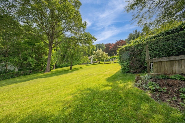 348 State Route 39, New Fairfield, CT 06812 - view of yard
