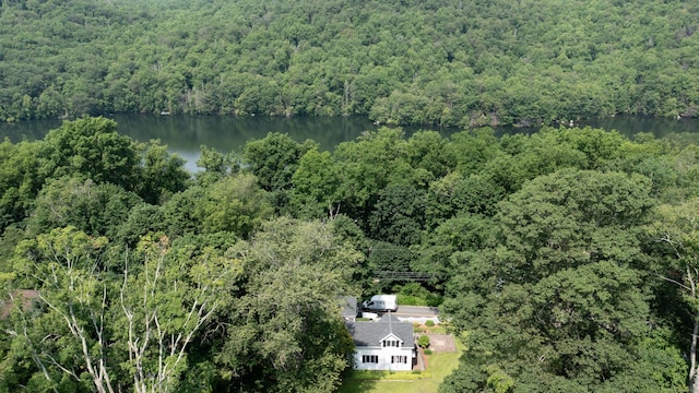 348 State Route 39, New Fairfield, CT 06812 - view from above of property featuring a heavily wooded area and a nearby body of water