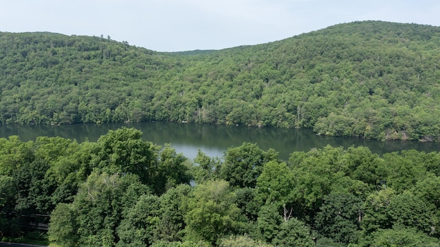 348 State Route 39, New Fairfield, CT 06812 - water view featuring a forest and mountains