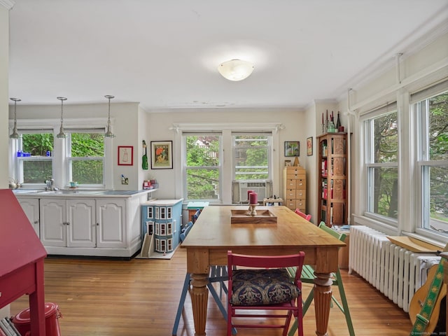 58 Riverdale Ave, Greenwich, CT 06831 - dining space with radiator, cooling unit, plenty of natural light, and crown molding