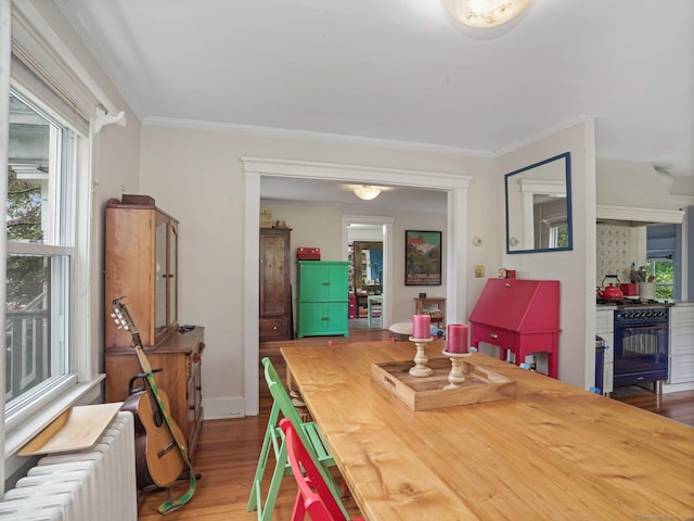 58 Riverdale Ave, Greenwich, CT 06831 - dining space with wood finished floors, ornamental molding, and radiator heating unit