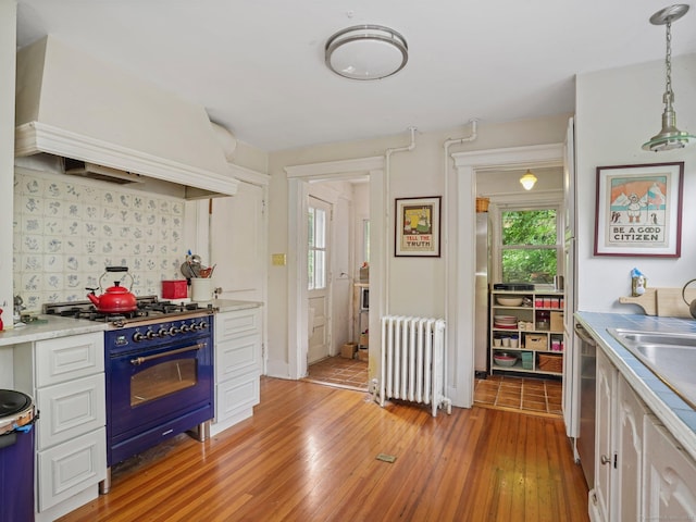 58 Riverdale Ave, Greenwich, CT 06831 - kitchen featuring radiator, gas range, light wood-style flooring, premium range hood, and backsplash
