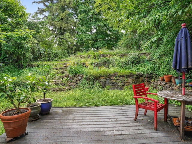 58 Riverdale Ave, Greenwich, CT 06831 - view of deck