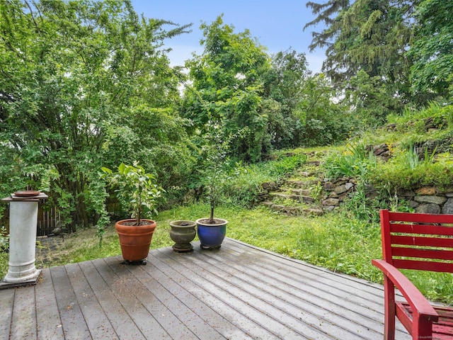 58 Riverdale Ave, Greenwich, CT 06831 - view of wooden terrace