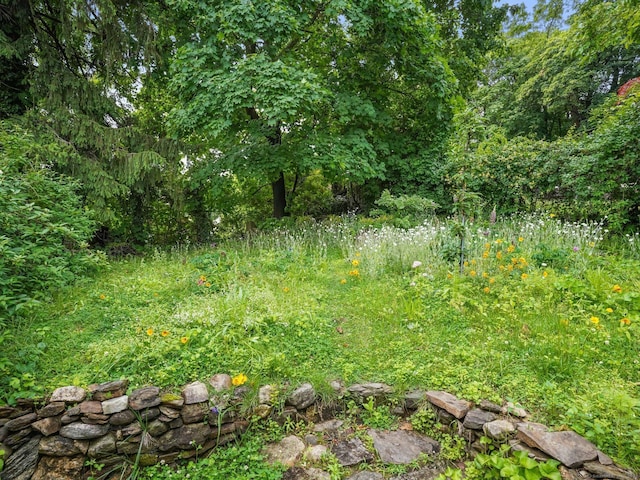 58 Riverdale Ave, Greenwich, CT 06831 - view of woods
