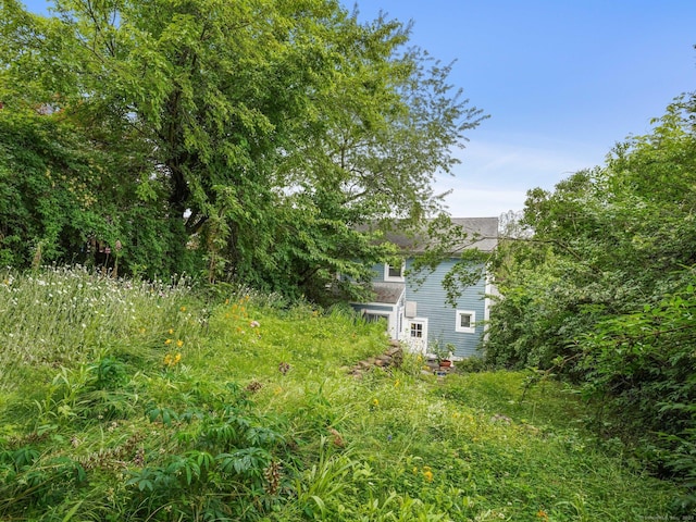 58 Riverdale Ave, Greenwich, CT 06831 - view of yard