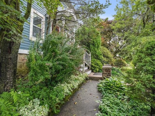 58 Riverdale Ave, Greenwich, CT 06831 - view of yard