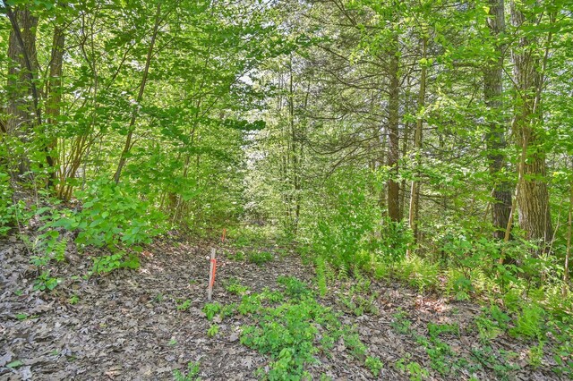 19 Ratlum Mountain Rd, Barkhamsted, CT 06063 - photo 18