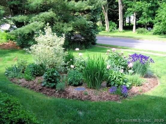 480 Budding Ridge Rd, Cheshire, CT 06410 - view of green lawn
